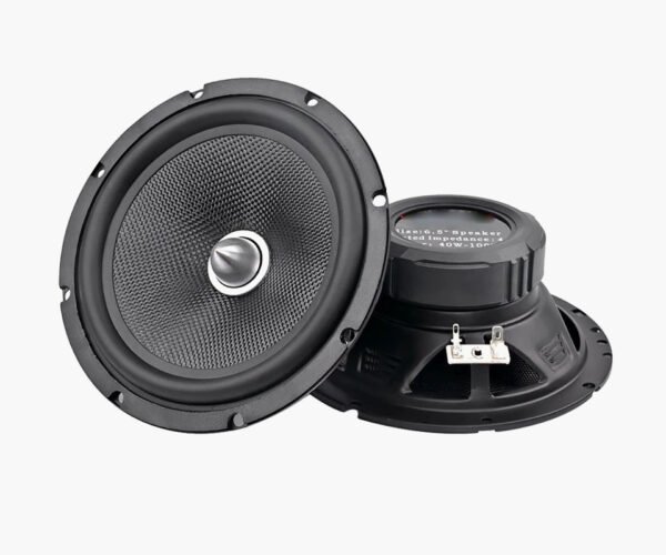 Subwoofer Speaker 8 Ohm 100W Audio Woofer Speaker - Image 3